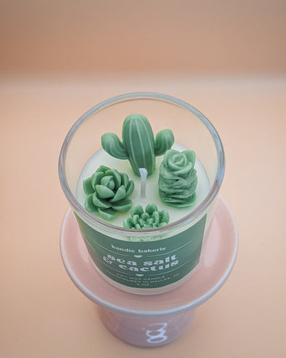 succulent candle Sea Salt & Cactus Candle – Kandie Bakerie